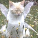 hitchlit-blog avatar