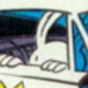 hittheroadtripweek avatar