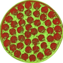 hitwiththefandomz avatar