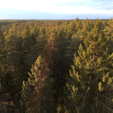 hmarachoss-blog avatar