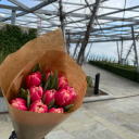 hoancorabisognodeltuosorriso avatar