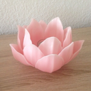 hoardersdaughter avatar