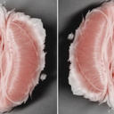 hoarding-world avatar