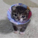 hochukhachapuri avatar