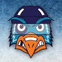 hockeychirpers avatar