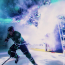 hockeysweaterseguin avatar