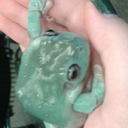 hodge-podge-lodge avatar