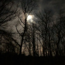 hodgepodgeandmiscellany avatar