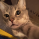 hodgepodgeartblog avatar