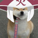 hodoge avatar