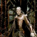 hoe-dont-do-it-elrond avatar