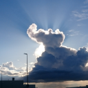 hoffbergsworld avatar