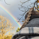 hoffnungs-schimmer avatar