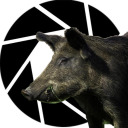 hog-of-aperture avatar