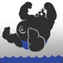 hog-with-a-blog avatar