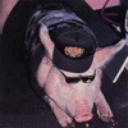 hogsweat avatar