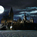 hogwarts-is-my-everything avatar