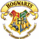 hogwarts-school-of-w-and-w avatar