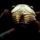 hogwarts-will-always-be-home avatar