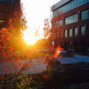 hogwartsafterthoughts avatar