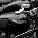 hogwartshovawart avatar