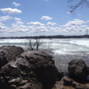 hogwartzgirl21 avatar