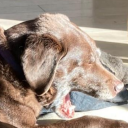 hogwith-ablog avatar