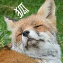 hohoeminomirai avatar