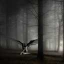 hold-on-till-forever-blog avatar