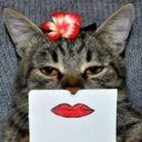 hold-tight-freedom avatar