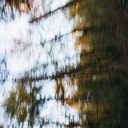 holding-on-to-stars avatar