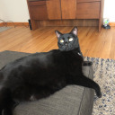 holding-onto-stars-on-gallifrey avatar