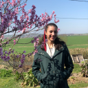 holding-ontoallour-dreams avatar