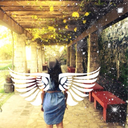 holdingyoulikeanangel-blog avatar