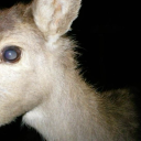 holdmesweetly avatar