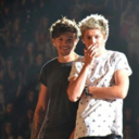 holdmetightboobear avatar