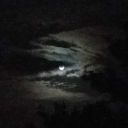 holdon-a-minute avatar