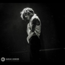 holdupalightformeoh avatar