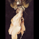 hole6heart6sailor6 avatar