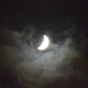 holeinyourwall avatar