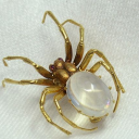 holisticimani avatar