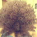 holistictee-blog avatar