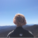 hollaatthellama avatar