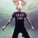 hollanddarling avatar