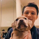 hollandthefrog avatar