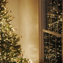 holllyjolllychristmas avatar