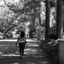 hollow-noises avatar