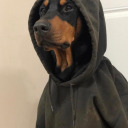 hollowed-outt avatar