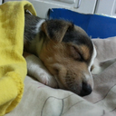 hollowedworld avatar