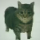 hollowstarlost avatar